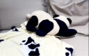 野兽派（THE BEAST）熊猫嘭嘭二合一法兰绒暖香毯/抱枕汽车头枕腰靠车载靠枕 晒单实拍图