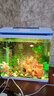 长锐生态鱼缸客厅桌面小型金鱼缸全套家用一体缸自循环免换水 MC360升级版【长36x宽23x高38cm】 实拍图