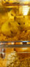 獒少保仓鼠笼子彩透360°全景别墅金丝熊笼子仓鼠窝屋用品带水壶跑轮浴室 双层一体式彩透 橙色 豪华套餐 晒单实拍图