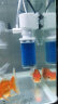京业JINGYE 鱼缸多功能过滤器JY-6100F款6W 增氧水泵吸便抽水过滤 实拍图