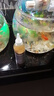 千浔水族小型鱼饲料斑马鱼孔雀鱼小颗粒鱼食专用鱼粮幼鱼苗开口通用鱼饲料 0.1mm高蛋白细颗粒（130g） 实拍图