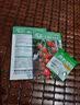 寿禾 罗勒种子蔬菜九层塔阳台四季食用秋冬季香草植物种籽 埋香九层塔种子2000粒 实拍图