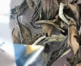瑞聘号【新品】2017荒野寿眉 福鼎磻溪老白茶 五年陈干仓转化 500g*1盒 实拍图