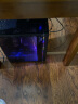 鑫锐 i7 12700/i9/RTX3060/70吃鸡游戏电竞直播水冷台式DIY组装电脑主机全套 套餐二i9八核-GTX1070Ti丨16G丨27寸 实拍图