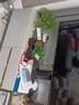 吉善堂开业礼品貔貅玉白菜摆件工艺品办公室客厅酒柜装饰品乔迁新居礼品 新款中号-约长28宽13.5高22.5CM 实拍图