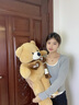 欣欣龙毛绒玩具大熊泰迪熊公仔布娃娃玩偶抱枕送女友情人节礼物 围巾熊卡其色 80厘米【+玫瑰花】 实拍图