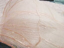 Glambody MAGIC NATURAL LINE小胸聚拢防下垂调整型内衣裤性感无钢圈无肩带防滑文胸套装682185 香槟色套装 36/80A 实拍图