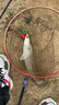二次元 海竿抛竿碳素超轻超硬 3.0米海杆长节远投竿海钓竿鱼竿钓鱼渔具 实拍图