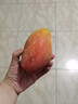 山姆大叔正宗大青芒果【多地次日达】可生吃酸脆芒果新鲜水果礼盒非金煌芒 金奖升级｜400-500g【超甜】 5斤装【爆款主推-80%买】净4.5斤 实拍图