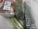小汤山 北京 菠菜苗 150g 基地直供新鲜蔬菜 实拍图