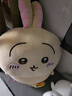 名创优品（MINISO）chiikawa大号挎包站姿公仔毛绒玩具玩偶抱枕礼物女 Usagi乌萨奇 实拍图