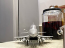 小号手 02842拼装军事飞机模型 J-10仿真战机1/48猛龙战斗机歼10歼击机 模型+胶水 实拍图