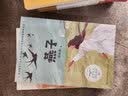 燕子 三年级推荐阅读 小学语文教科书同步阅读书系 课外作家系列快乐读书吧 小书童 实拍图