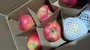 四叔公果蔬四川盐源丑苹果 现货现发红富士冰糖心苹果 整箱当季新鲜水果 5斤 70mm(含)-75mm(不含) 实拍图