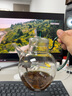丰陶张生 日式加厚耐热玻璃过滤龙井绿茶壶仿宋执壶花茶泡茶器套装公道杯 绿柄绿茶壶500ML 实拍图