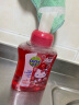 滴露（Dettol） 儿童宝宝健康抑菌泡沫洗手液瓶装袋装组合装【Hello Kitty】版 250ml 2瓶 樱桃芬芳 实拍图