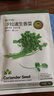 京农研农科院蔬菜种子大叶香菜四季小葱鸡毛菜红苋菜芝麻菜空心菜种籽孑 京农研四季小香葱5克 实拍图