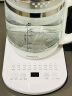 康佳（KONKA）养生壶 煮茶器 玻璃保温开水壶烧水壶电热水壶 玻璃煮茶壶 燕窝壶 带炖盅 KHK-18V12(CD) 实拍图