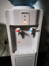 奥克斯（AUX） 奥克斯(AUX)饮水机 家用迷你制热型台式桌面 饮水器 经典立式饮水机 冷热型 实拍图