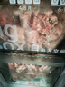 谷开元宁夏滩羊肉羊前腱（带拐筋）净重5斤原切羊肉炖煮食材 源头直发 实拍图