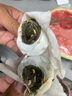 山东微山湖特产臭鸭蛋臭咸鸭蛋黑蛋新鲜臭鸭蛋 臭鸭蛋70g*10个 实拍图
