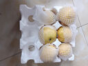 正鲜季（ZHENGXIANJI）正宗砀山梨酥梨薄皮梨当季新鲜水果砀山梨雪梨脆甜大果整箱安徽 3斤 【大果250g+】砀山直发|脆甜多汁 实拍图