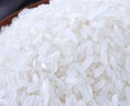 龙稻当季新米 正宗五常大米10kg 东北长粒香大米粳米稻香米 二十斤 实拍图