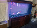 森森（SUNSUN）【包安装】森森鱼缸水族箱生态造景玻璃底滤大型鱼缸客厅 超白隔断1.5米长42cm宽(双色可选)带礼包 晒单实拍图