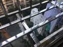 小素材儿童秋衣秋裤婴儿春秋衣服宝宝保暖内衣套装男童纯棉新生儿睡衣女 嘟嘟小猪圆领套蓝 100 实拍图