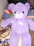 乐怡萱毛绒玩具泰迪熊大熊猫公仔布娃娃熊玩偶抱抱枕熊送女友情人节礼物 薰衣草紫熊 80厘米 实拍图