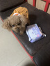嬉皮狗狗狗尿不湿公狗纸尿裤超薄狗狗生理裤小型犬泰迪柯基金毛中大型犬 女宝XS（建议体重2-4斤） 实拍图