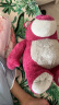 迪士尼（Disney）草莓熊毛绒玩具抱枕公仔情人节礼物送女友送老婆玩具娃娃送孩子女生生日礼物女 15号芬芳款 实拍图