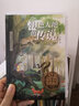 银色大地的传说（纽伯瑞儿童文学金奖，激发孩子想象力，培养孩子乐观、勇敢、善良的优良品质）森林鱼童书 课外阅读 寒假阅读 课外书 实拍图
