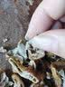 腊滋韵 湖南特产腊味柴火烟熏腊猪条肠腊猪肠地乡农村味道腊猪大肠 腊猪大肠条肠/2斤 实拍图