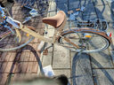 邦德·富士达 自行车女式24/26寸学生成人城市通勤复古淑女单速/7级变速买菜车 26寸钢架7速 奶咖色 实拍图