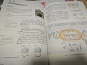 【新华书店正版】新版统编版人教版高中生物必修第二册教材课本教科书人教版高中生物必修二2教材人民教育出版社 实拍图