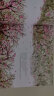 蔡皋中国经典绘本（套装3册）桃花源的故事宝儿花木兰童书儿童绘本 实拍图