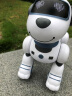 stabo玩具男孩女孩智能机器狗机器人故事机遥控1-6早教儿童节礼物 智能机器狗 晒单实拍图