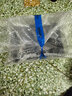 爱丽丝S-5育苗箱多肉叶插种植组合盆栽有盖子可选播种育苗盆托盘 12个2022黑盆+爱丽思箱+A3托盘 实拍图