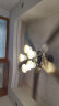 钻石牌（DIAMOND）风扇灯餐厅客厅吊扇灯一体LED吊灯风扇变频复古欧式家用电扇灯SY 52寸变频铁叶【5灯LED】六档 遥控款 晒单实拍图