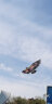 可爱布丁 风筝2米老鹰+18轮200米线轮盘卡通大型纸鸢亲子户外玩具 实拍图