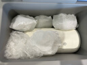 冰大师（ICEMASTER）保温箱母乳冷藏盒上班便携保热箱车载户外储奶冷冻小冰箱5.5L 实拍图