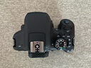 佳能/Canon 600D 700D 750D 760D 800D 850D二手单反相机新手学生入门旅游高清相机 750D+18-135 IS STM【套机】 准新 实拍图