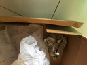 回力棉鞋男鞋冬季加绒加厚雪地靴男保暖防滑防水休闲鞋面包高帮靴子男 黑色WBN0291 39 实拍图