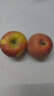 京鲜生 塞外红 阿克苏苹果礼盒 净重2.5kg 果径80-85mm 生鲜 新鲜水果 实拍图