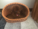 康贝尼宠物狗窝仿藤条猫窝藤编泰迪比熊博美小型犬窝可拆洗 猫狗用品 半封闭/小号建议5斤内猫狗 实拍图
