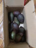 京鲜生 秘鲁进口牛油果 中果6粒装(非即食)单果重130g起 生鲜水果 实拍图