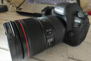 佳能（Canon）6d2全画幅单反相机 4k数码视频vlog 6D Mark II专业单反相机 6D2+24-105 F4镜头套机【热款推荐】 官方标配【不含内存卡基础配件 推荐加购套餐】 实拍图