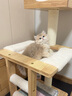 兽牌云端实木猫爬架小户型猫架带窝猫咪抓柱猫架子猫树猫窝猫抓板一体 云端S1 实拍图