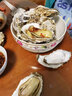 苏卓煌 生蚝鲜活带壳海蛎子特大原味海鲜即食生吃刺身礼盒装新鲜生蚝肉 5斤 大号【200克左右/只】 实拍图